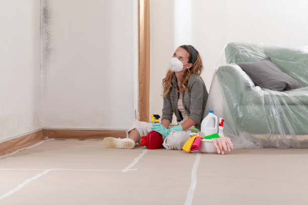 Reliable Mold Testing contractor in New Windsor, MD by WQB Mold Removal